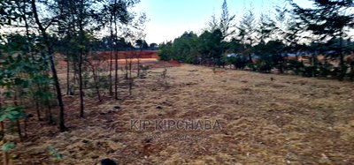 1/8 Touching Bypass Tarmac Lemook Kapseret Eldore - Image 7