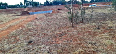 1/8 Touching Bypass Tarmac Lemook Kapseret Eldore - Image 3