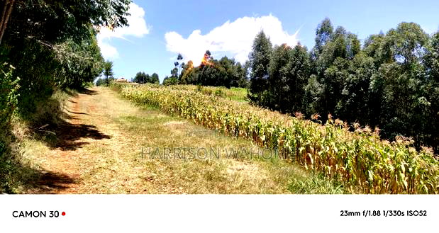 Plots for Sale in Limuru, Gitangu, Kiambu County.