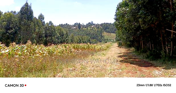 Plots for Sale in Limuru, Gitangu, Kiambu County.