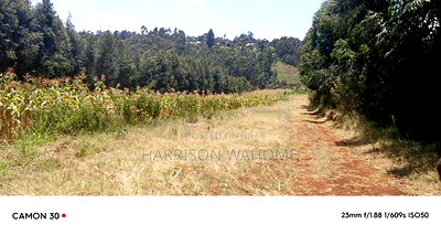 Plots for Sale in Limuru, Gitangu, Kiambu County. - Image 4