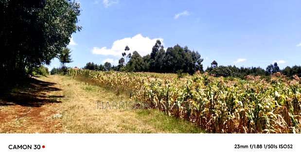 Plots for Sale in Limuru, Gitangu, Kiambu County.