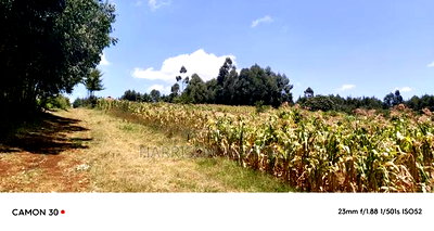 Plots for Sale in Limuru, Gitangu, Kiambu County. - Image 3