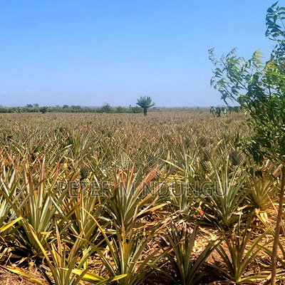 Malindi Land On Sale - Image 4