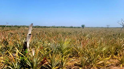 Malindi Land On Sale - Image 2