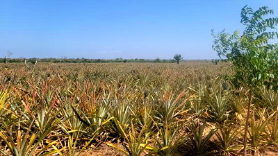 Malindi Land On Sale - Image 3