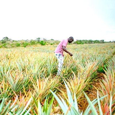 Malindi Land On Sale - Image 5