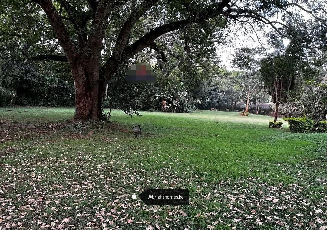 4.1-Acre Commercial Plot in Ridgeways