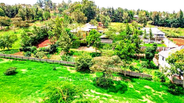 Prime 1/4 Acre Gated Plots for Sale in Ngong(Tulivu Estate)