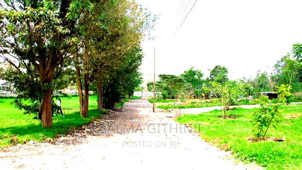 Prime 1/4 Acre Gated Plots for Sale in Ngong(Tulivu Estate)