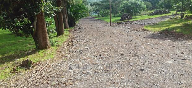 Prime 1/4 Acre Gated Plots for Sale in Ngong(Tulivu Estate)