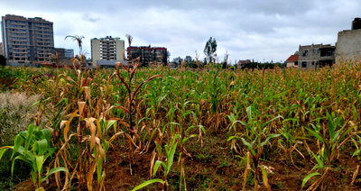 Garden Plot for KSh 10.5M in Membley Estate