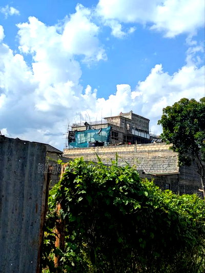 40 by 100 Plot in Kihingo Kiambu Town - Image 7