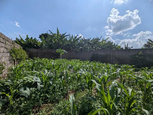 40 by 100 Plot in Kihingo Kiambu Town