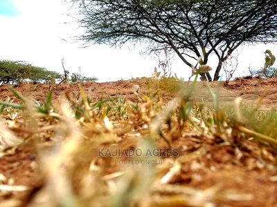 5 Acres Sajiloni at 1.2m Per Acre - Image 5