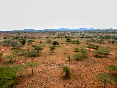 5 Acres Sajiloni at 1.2m Per Acre - Image 7