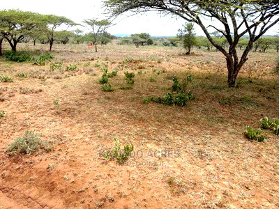 5 Acres Sajiloni at 1.2m Per Acre - Image 3