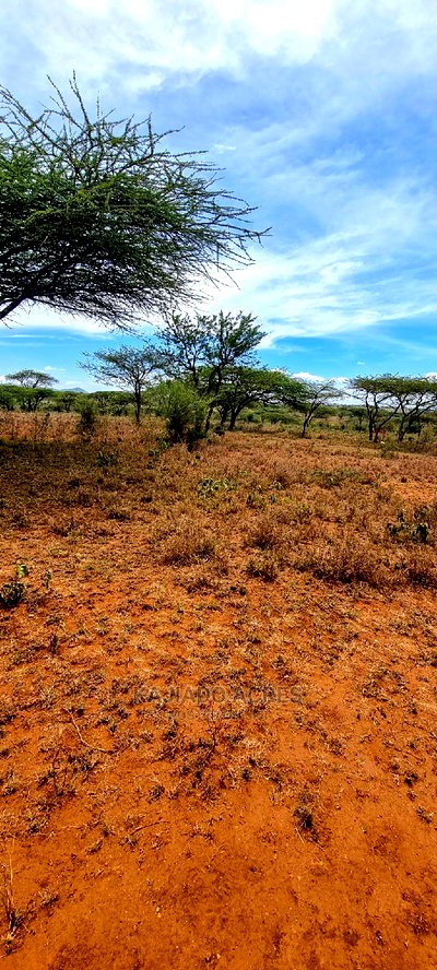 5 Acres Sajiloni at 1.2m Per Acre - Image 2
