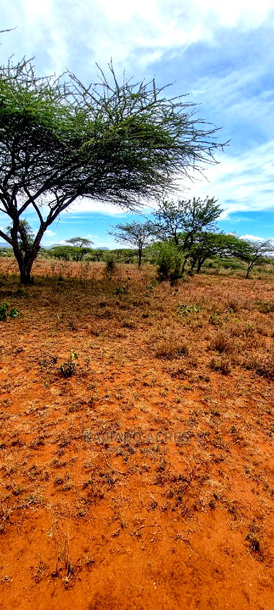 5 Acres Sajiloni at 1.2m Per Acre - Image 1
