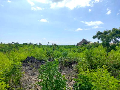 Prime 4.5 Acres Beach Front Plot in Watamu - Image 3