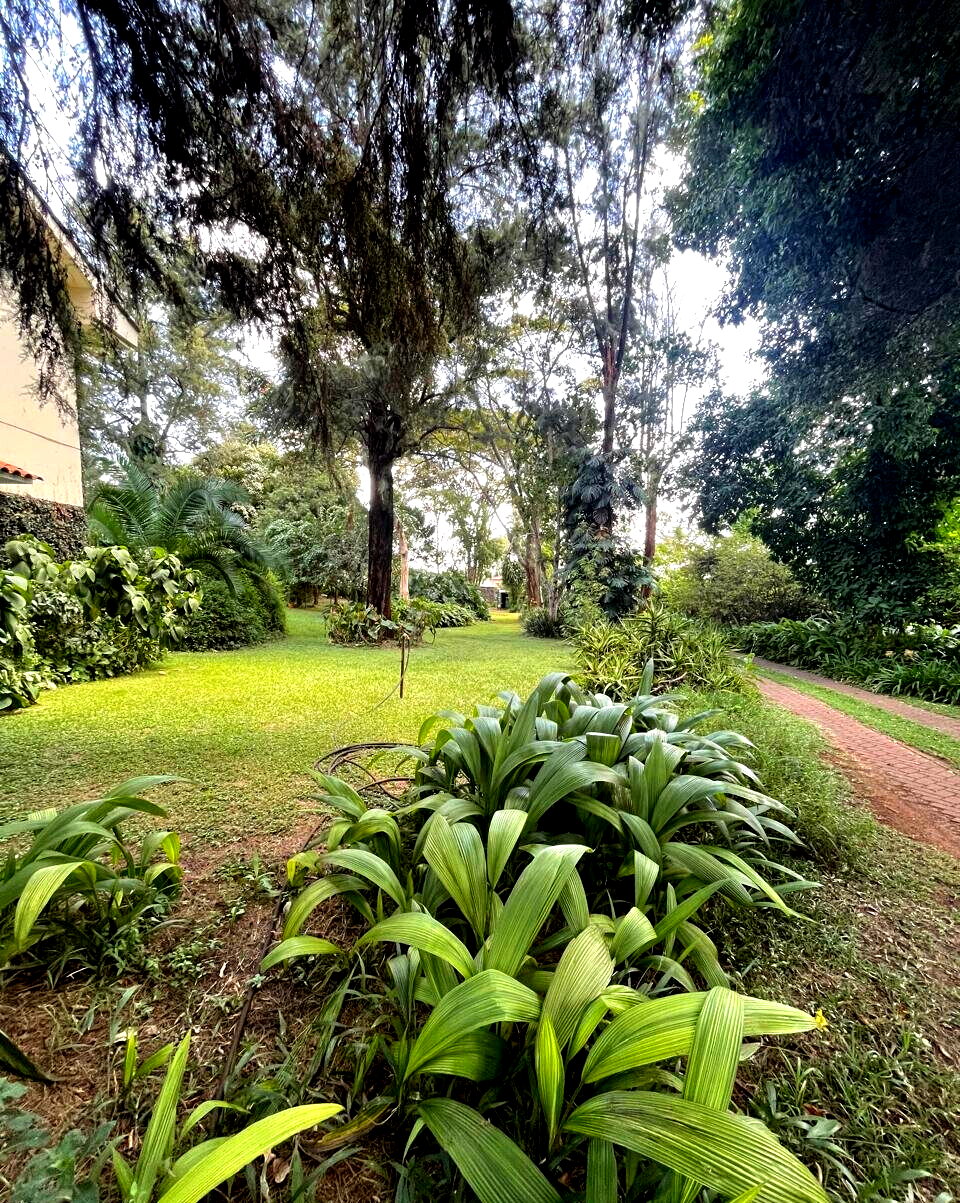 6BR Townhouse on 1 Acre with 3 Garages & Servant Quarters - Runda