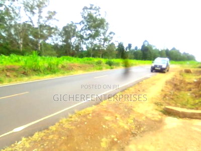 Nyeri Kahiraini - Image 1