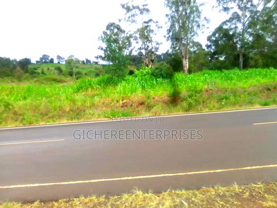 Nyeri Kahiraini - Image 4