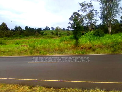 Nyeri Kahiraini - Image 3