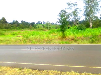 Nyeri Kahiraini - Image 5