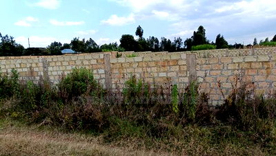 Own Your Piece of Rironi Kiroe Today for Only 2.2m - Image 3