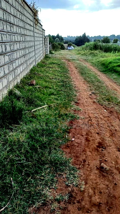 Own Your Piece of Rironi Kiroe Today for Only 2.2m - Image 1