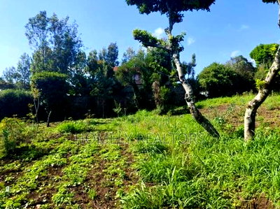 One Acre Land for Sale in Ngong Vet Near Tarmac - Image 2