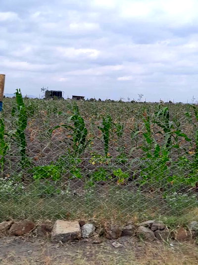 Affordable Isinya 50x100 Plots Ready Titles - Image 1