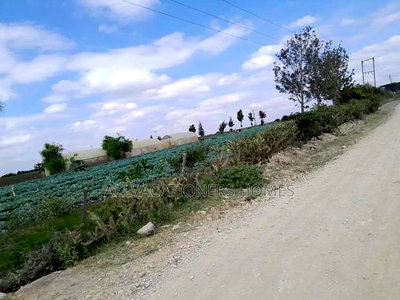 Affordable Isinya 50x100 Plots Ready Titles - Image 2