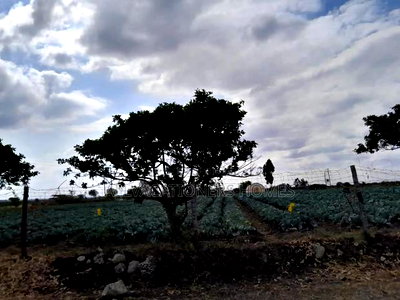 Affordable Isinya 50x100 Plots Ready Titles - Image 4