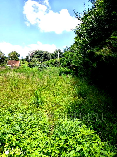 Prime Land on Sale, 0.5 Acres Garden Estate - Image 5
