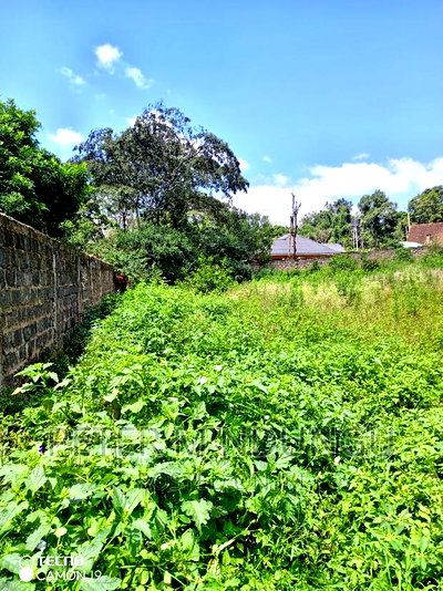 Prime Land on Sale, 0.5 Acres Garden Estate - Image 4