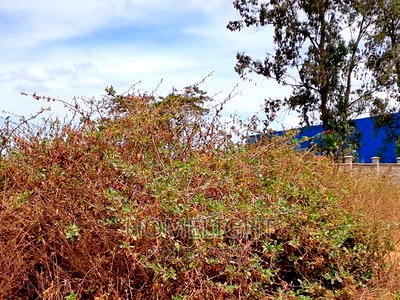 Kito Business Park - Image 2