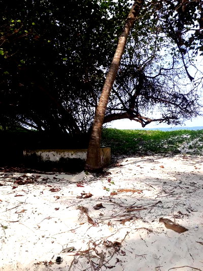 For Sale 1 Acre Beach Plot Nyali - Image 4