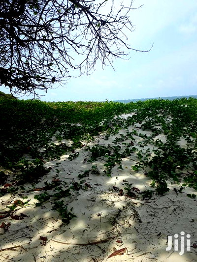 For Sale 1 Acre Beach Plot Nyali - Image 2