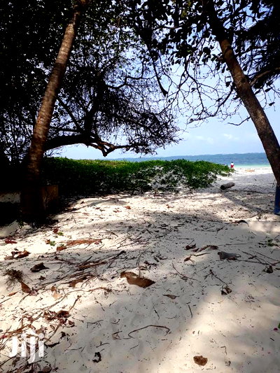 For Sale 1 Acre Beach Plot Nyali - Image 5