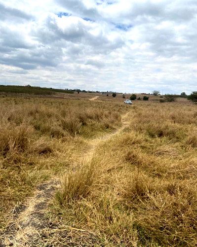 5-Acre Land with Separate Titles