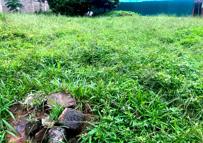 1 Acre Westlands Gem for KSh 370M