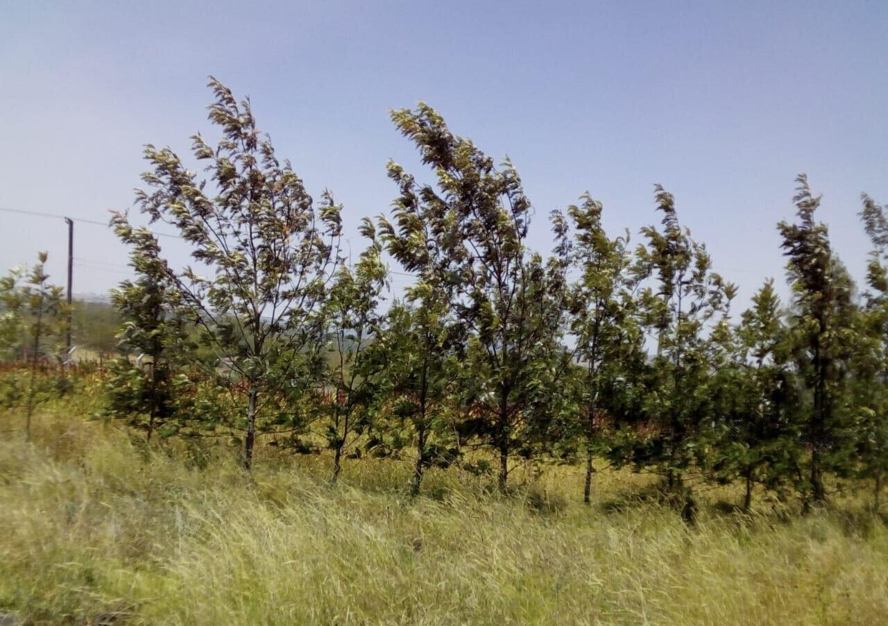 KSh 2M Garden Plot with Parking