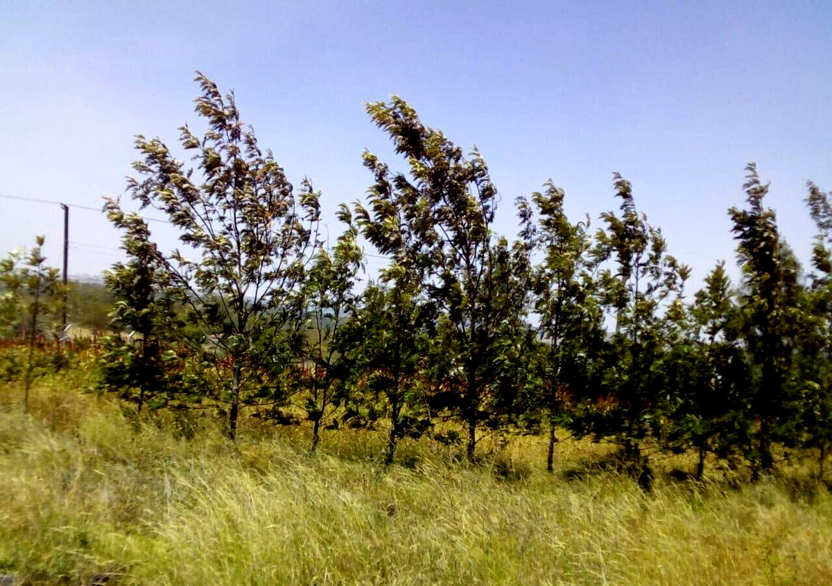 KSh 2M Garden Plot with Parking