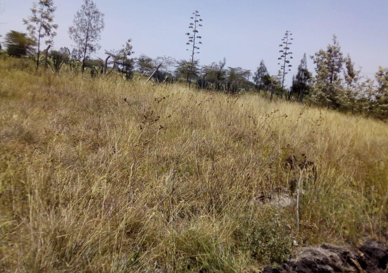 KSh 2M Garden Plot with Parking