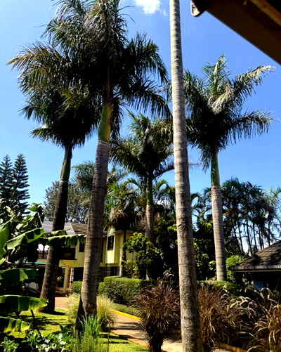 1.1 Acre Townhouse with Garden