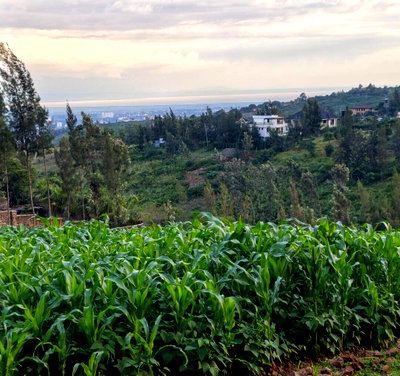 3-Acre Plot in Kisumu West