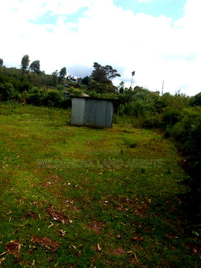 100*100 Plot on Sale at Kamirithu Limuru - Image 6
