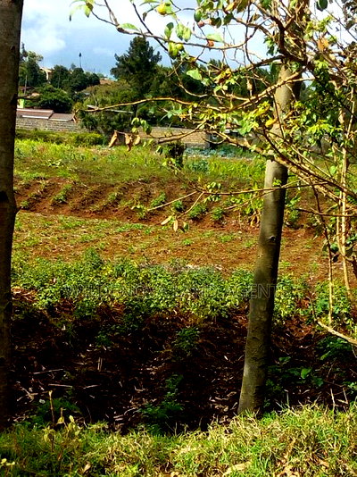 100*100 Plot on Sale at Kamirithu Limuru - Image 8